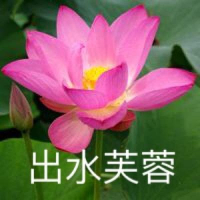 梦幻光环客户端